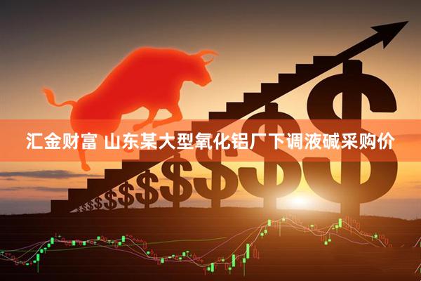 汇金财富 山东某大型氧化铝厂下调液碱采购价