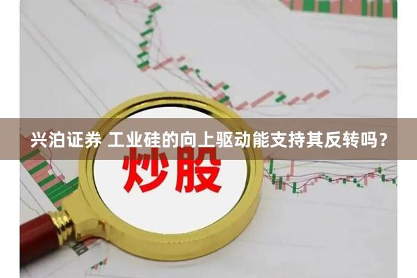 兴泊证券 工业硅的向上驱动能支持其反转吗？