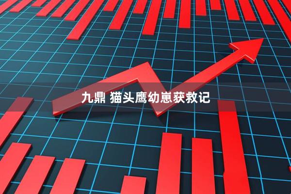 九鼎 猫头鹰幼崽获救记