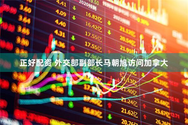 正好配资 外交部副部长马朝旭访问加拿大