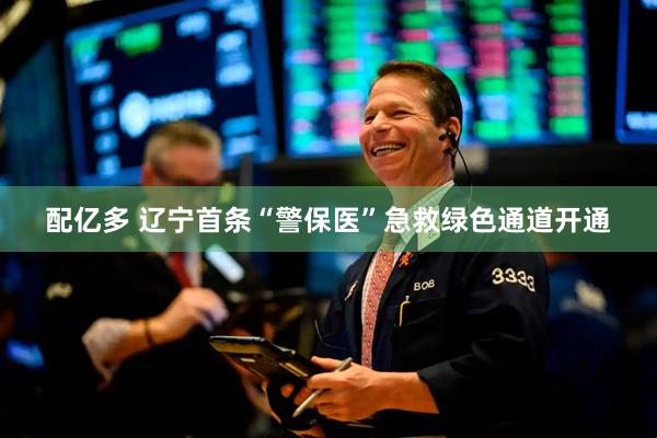 配亿多 辽宁首条“警保医”急救绿色通道开通