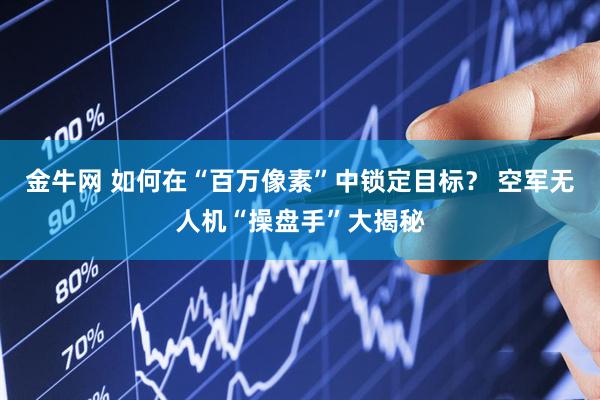 金牛网 如何在“百万像素”中锁定目标？ 空军无人机“操盘手”大揭秘