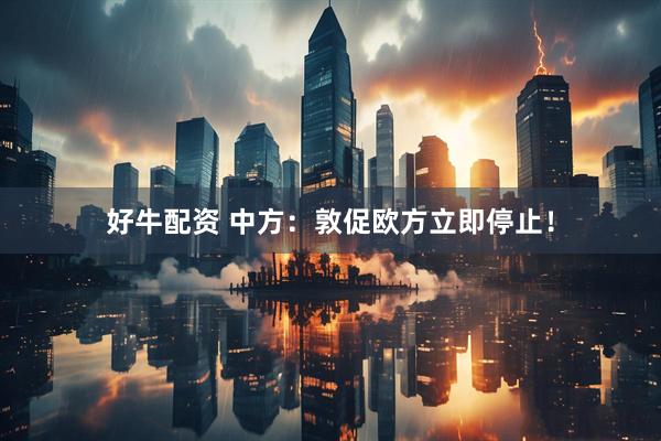 好牛配资 中方：敦促欧方立即停止！