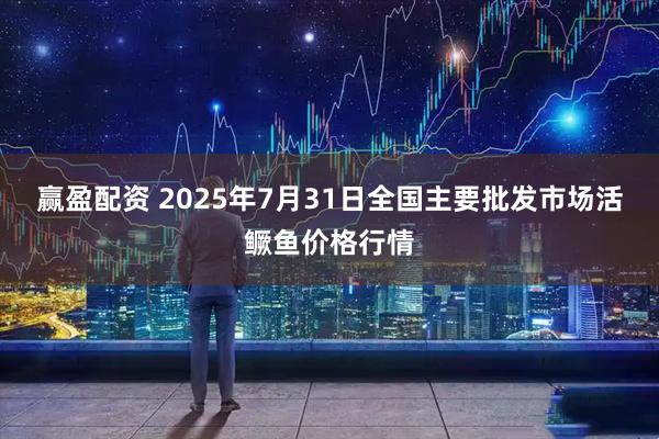 赢盈配资 2025年7月31日全国主要批发市场活鳜鱼价格行情
