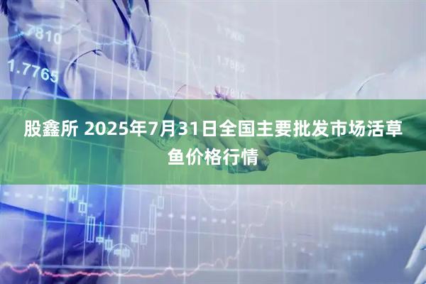 股鑫所 2025年7月31日全国主要批发市场活草鱼价格行情