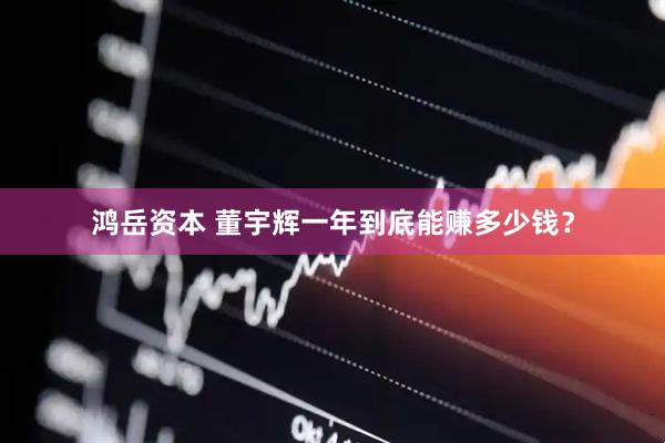 鸿岳资本 董宇辉一年到底能赚多少钱？