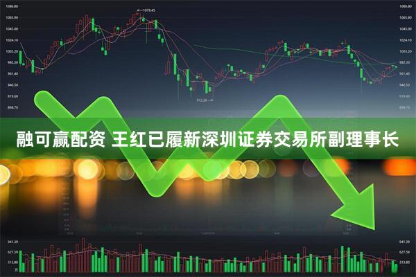 融可赢配资 王红已履新深圳证券交易所副理事长