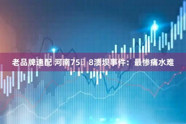 老品牌速配 河南75・8溃坝事件：最惨痛水难