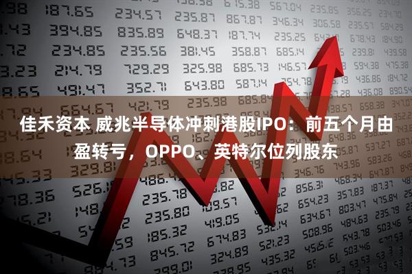 佳禾资本 威兆半导体冲刺港股IPO:前五个月由盈转亏,OPPO、英特尔位列股东